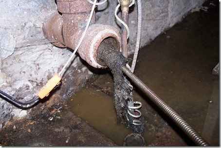 ls0ndvbp
